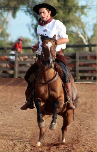 Lote PINTURITA 197 DE LA CASILLA