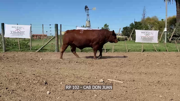 Lote RP 102 DON JUAN