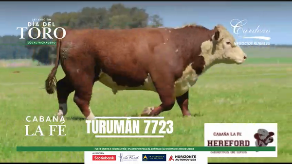 Lote La Fe - Hereford