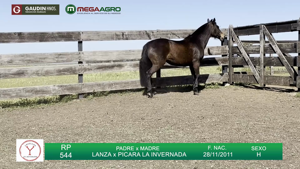 Lote Potranca, Salto