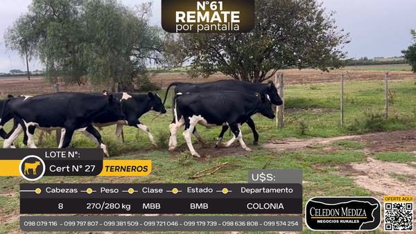 Lote 8 Terneros en Colonia Cosmopolita, Colonia