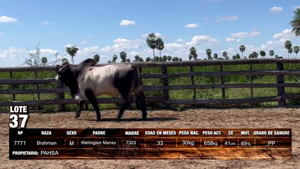 Lote Brahman