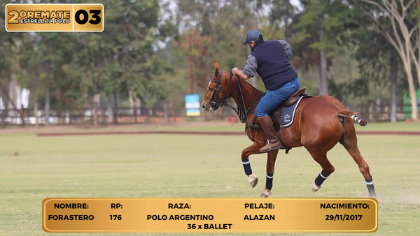 Lote LOTE 3