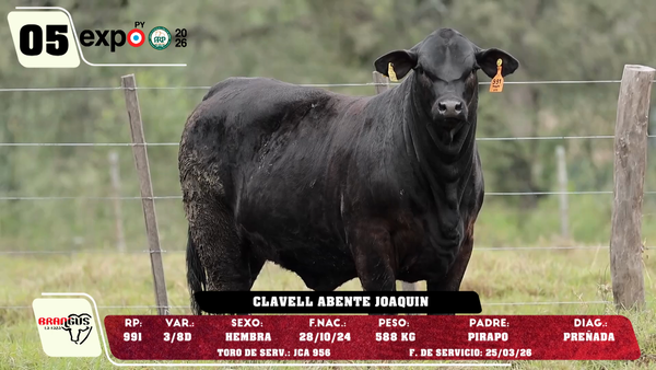 Lote LOTE 5