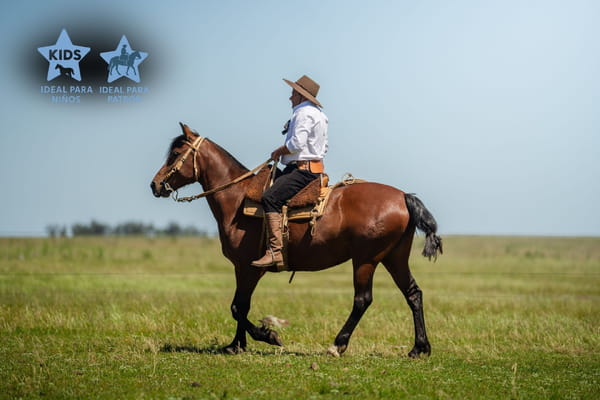 Lote FLORA LOS CERROS