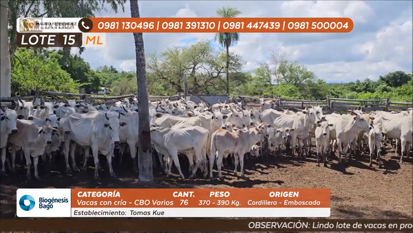 Lote ESTANCIA TOMAS KUE