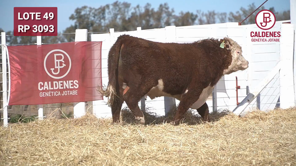 Lote Toro s/