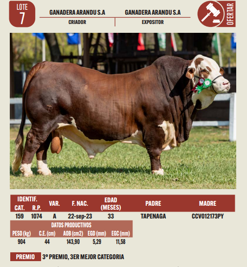 Lote LOTE 7