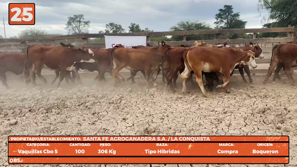 Lote LOTE 25