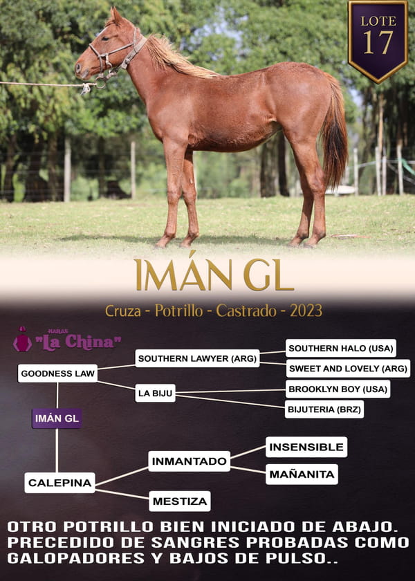 Lote IMÁN GL
