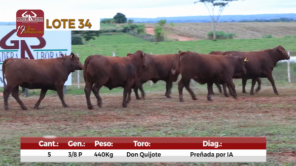 Lote Reproductores de Alborada - Lote 34