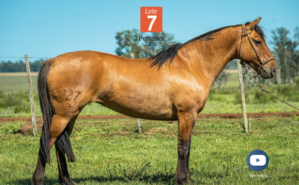 Lote DEL SILENCIO BANQUINA