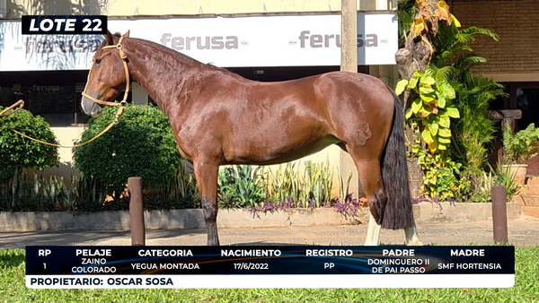 Lote LOTE 22- DE BOZAL