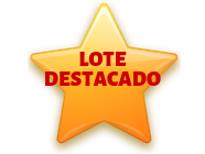 Lote Lote 276 - V. Preñados