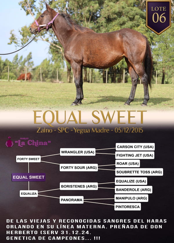 Lote EQUAL SWEET