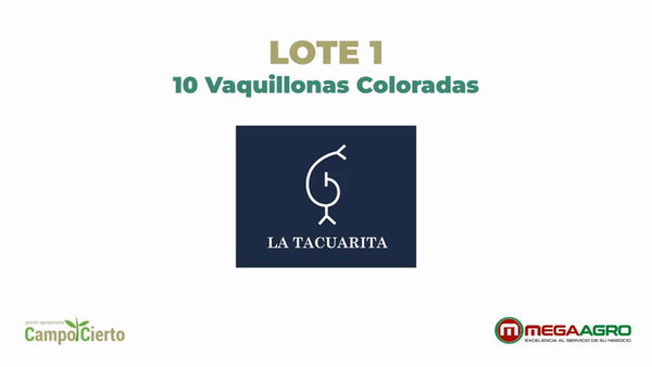 Lote LA TACUARITA