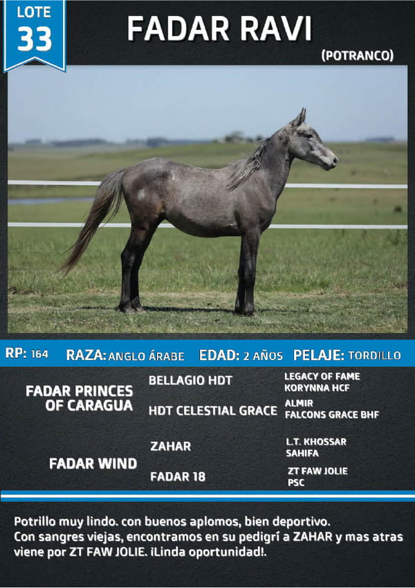 Lote FADAR RAVI