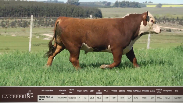 Lote MMCC FACHA 8820