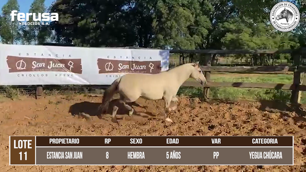 Lote LOTE 11 DE CAMPO