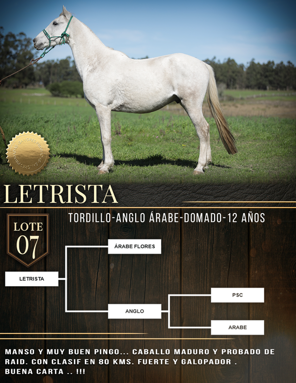 Lote LETRISTA