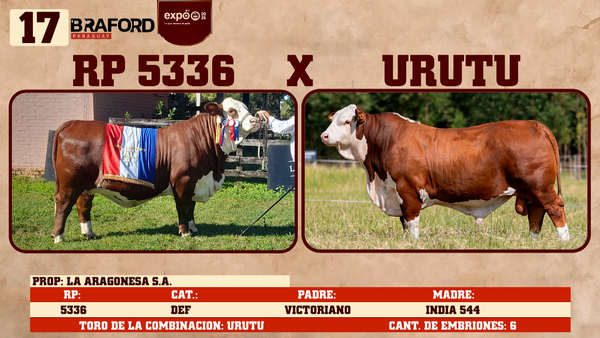 Lote LOTE 17