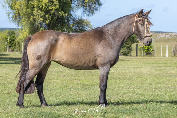 Lote Guasca De Los Recuerdos