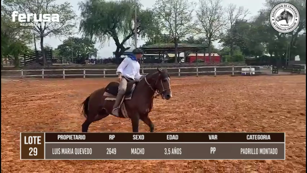 Lote LOTE 29 BOZAL