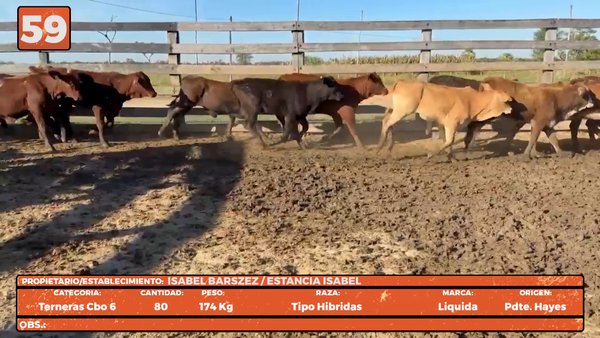 Lote LOTE 59