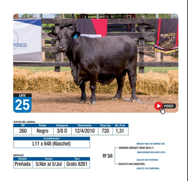 Lote L11 x 648 (Naschel)