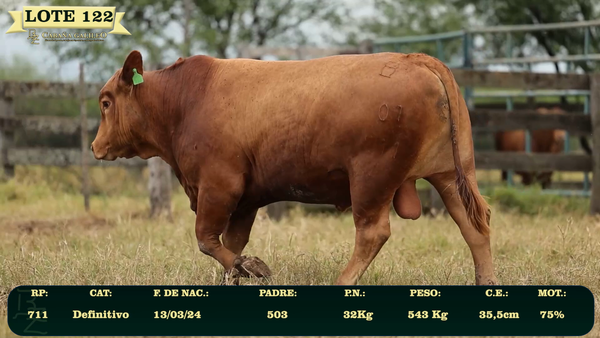 Lote LOTE 122
