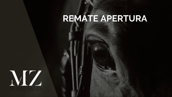 Lote HARLEY STREET (MILWAUKEE BREW -  HALLOWEEN DANCE)