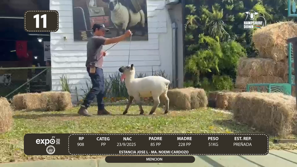Lote LOTE 11 - BOZAL