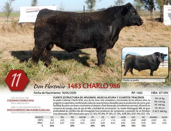 Lote TORO