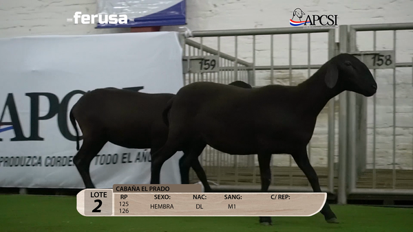 Lote Nacional Santa Inés Campo - Lote 2