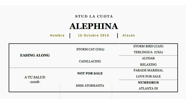 Lote ALEPHINA (EASING ALONG - A TU SALUD)