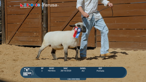 Lote LOTE 30 -  BOZAL