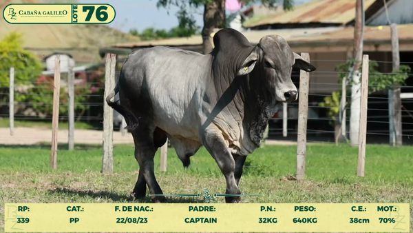 Lote LOTE 76