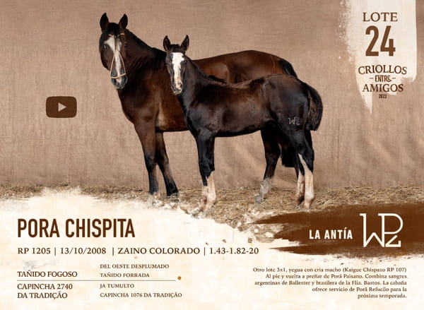 Lote PORA CHISPITA RP 1205