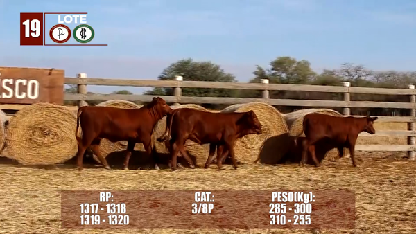 Lote Lote 19 Reserva de Cabaña