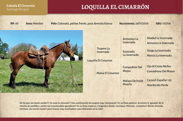 Lote Loquilla El Cimarron (RP 40) - Cabaña El Cimarron