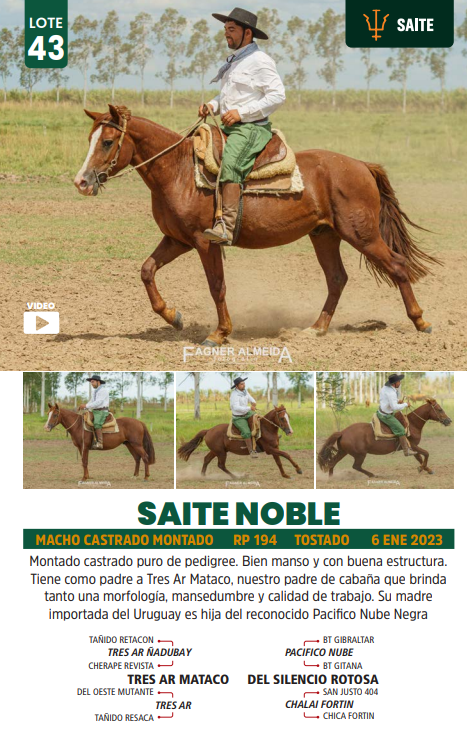 Lote LOTE 43