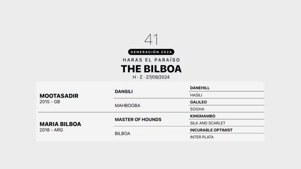 Lote THE BILBOA