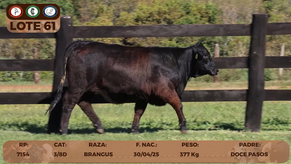 Lote LOTE 61- RESERVA DE CABAÑA