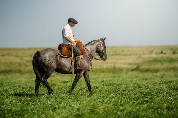 Lote Crucera Bordona