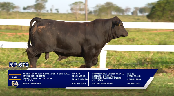 Lote LOTE  DUO -64
