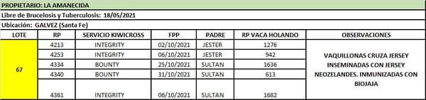 Lote Lote 67 La amanecida