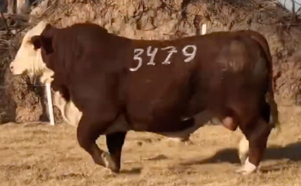 Lote CABAÑA EL RETIRO