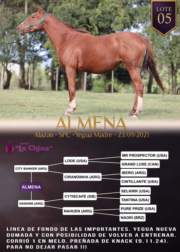 Lote ALMENA