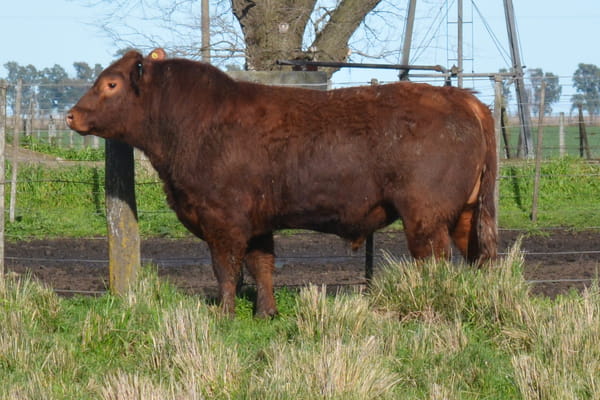 450 — Toros PC