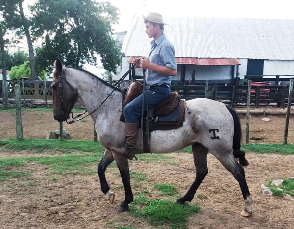 Lote LEGIONARIO ESCONDIDO